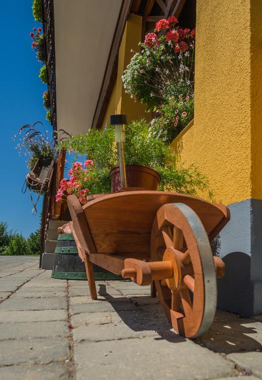 Panorama B&B Ptuj Exterior foto